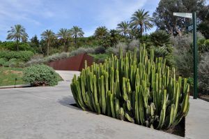 de botanische tuin in barcelona