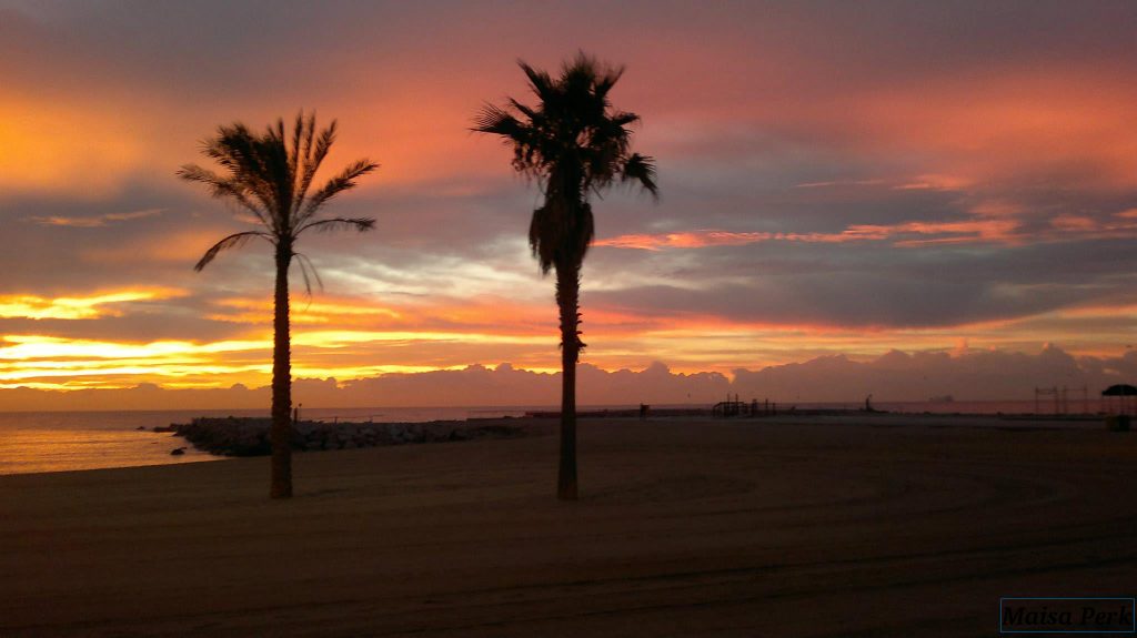 strandfot met palmbomen en ondergaande zon