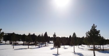 sneeuw in de bergen