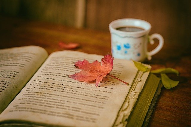 boek in de herfst