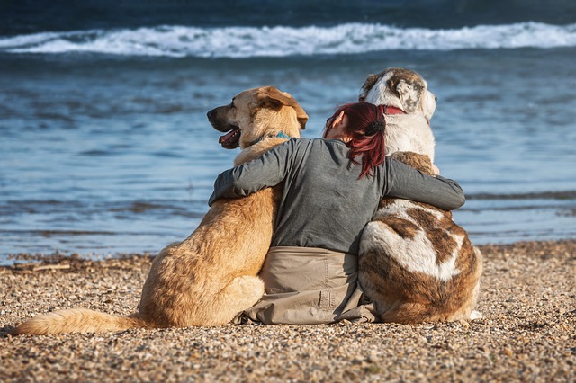 twee honden en vrouw op strand