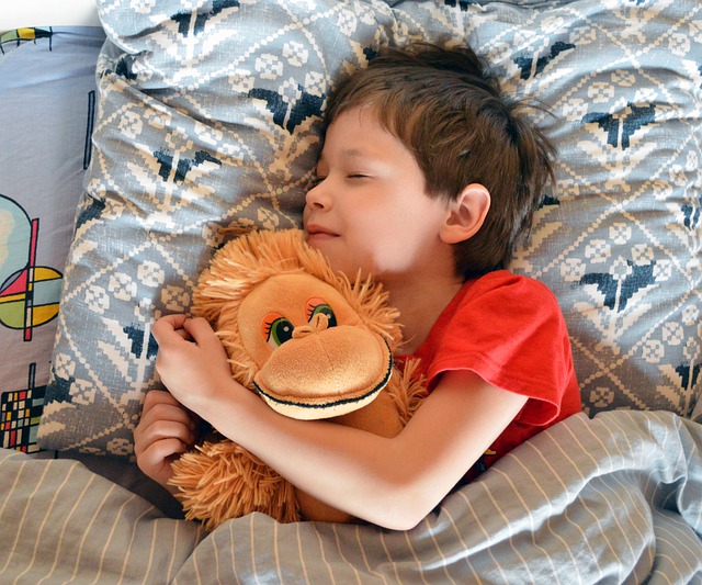 jongen in bed met knuffel