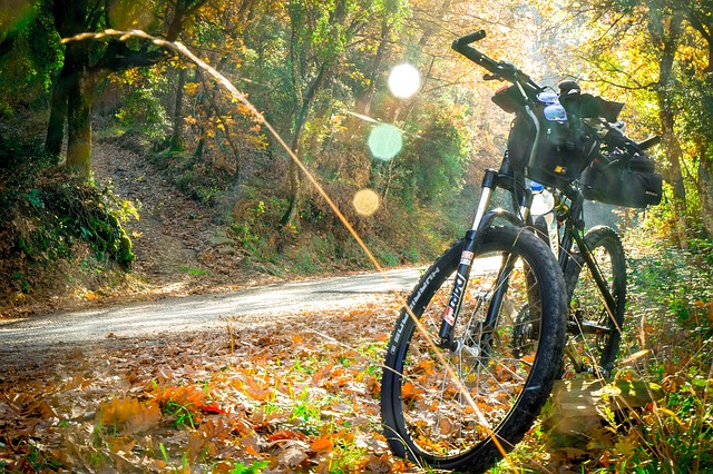 mountainbike in het bos