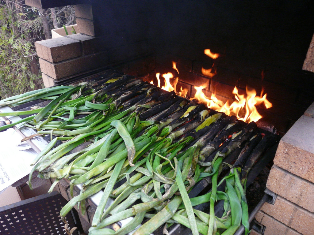 Calçots