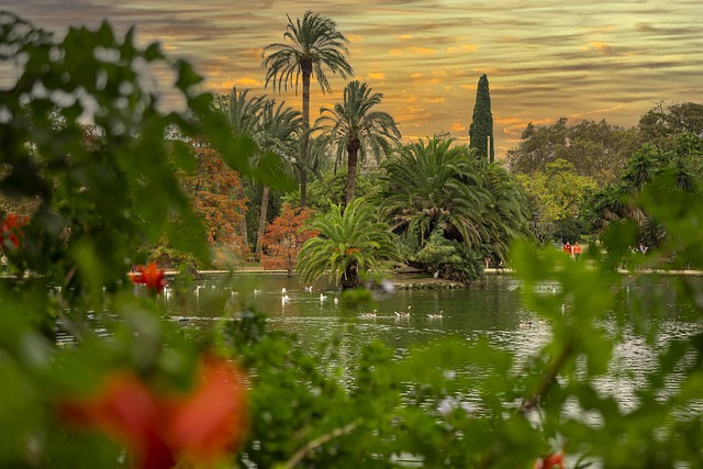 bomen in park ciutadella