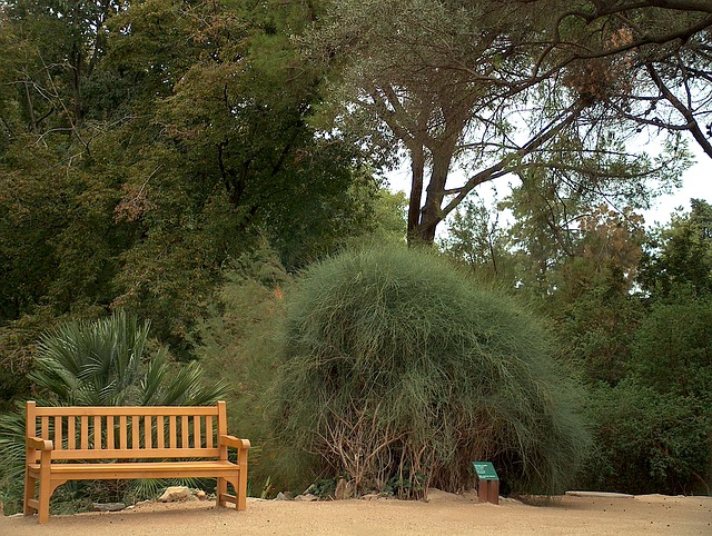 park in Barcelona