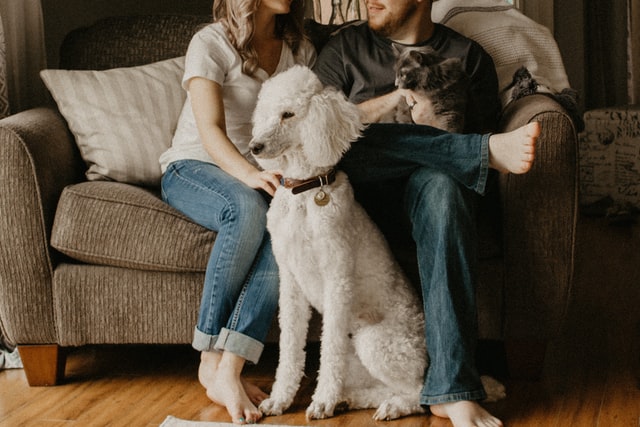 koppel op de bank met hond en kat