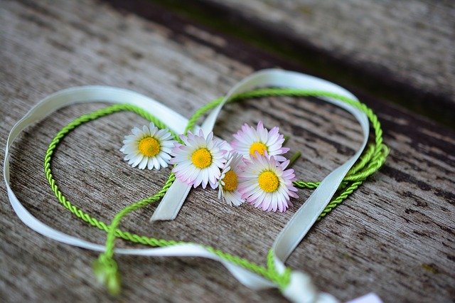 groen en wit lint met madeliefjes