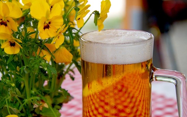 glass of beer and yellow violets