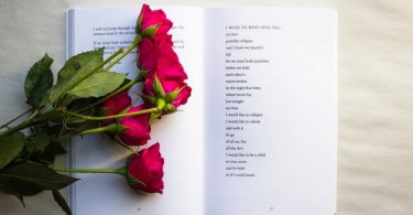 rode rozen op een boek
