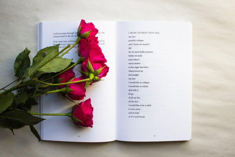 rode rozen op een boek