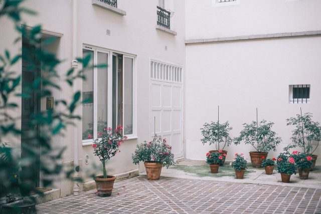 terrace with pots and plants