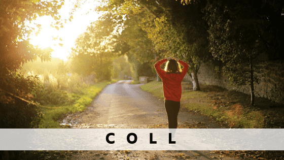 Wynajmij mieszkanie w  Coll